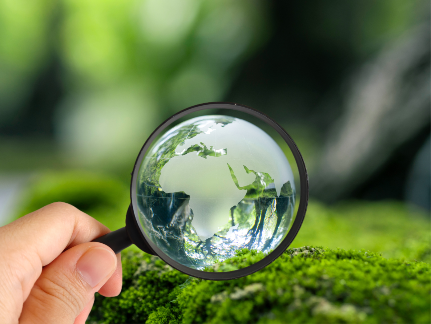alt="audyt wewnętrzny ISO 14001 system zarządzania środowiskowego EMS"